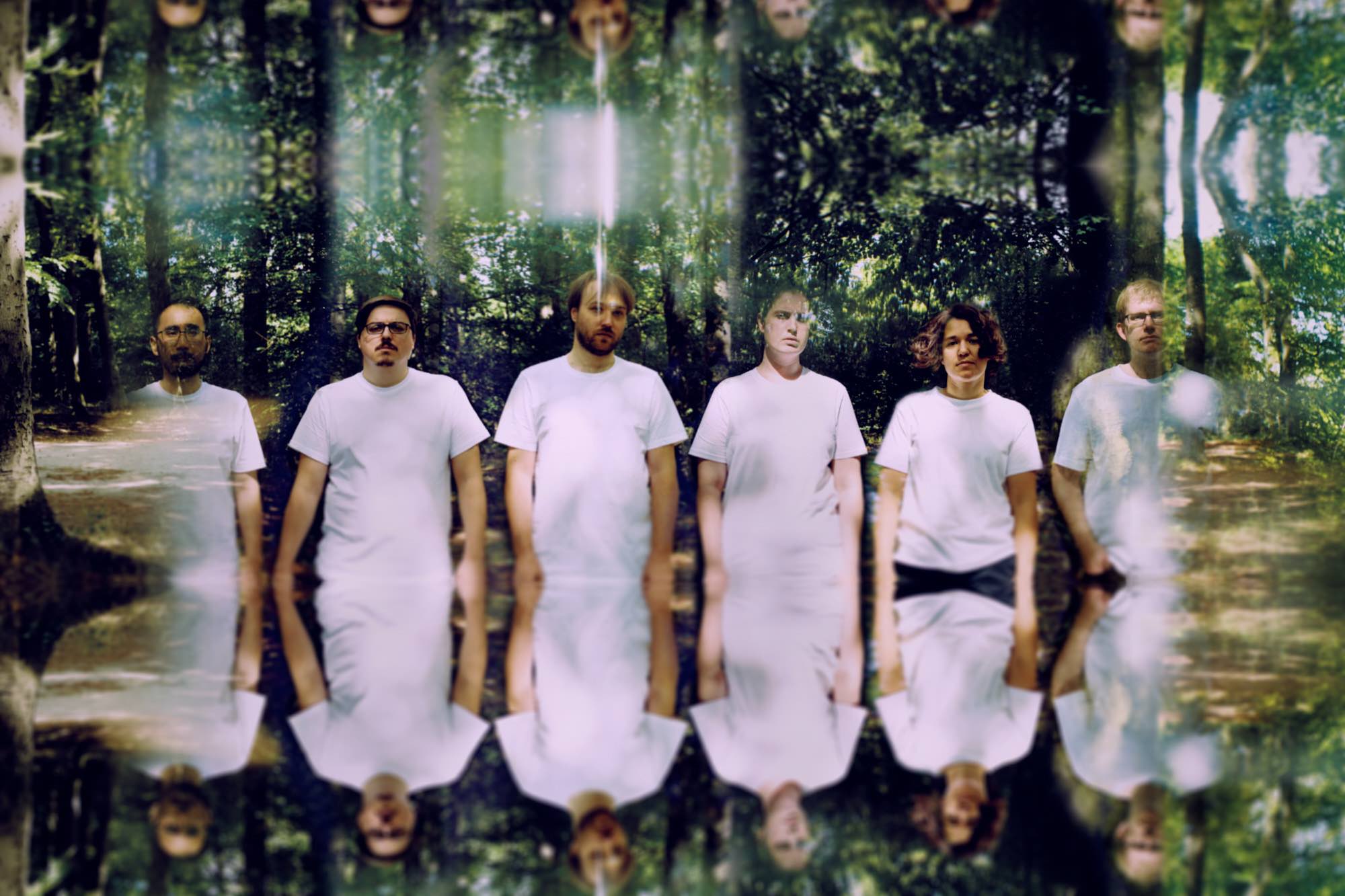 Tape Runs Out 🇬🇧 Trapped Animal