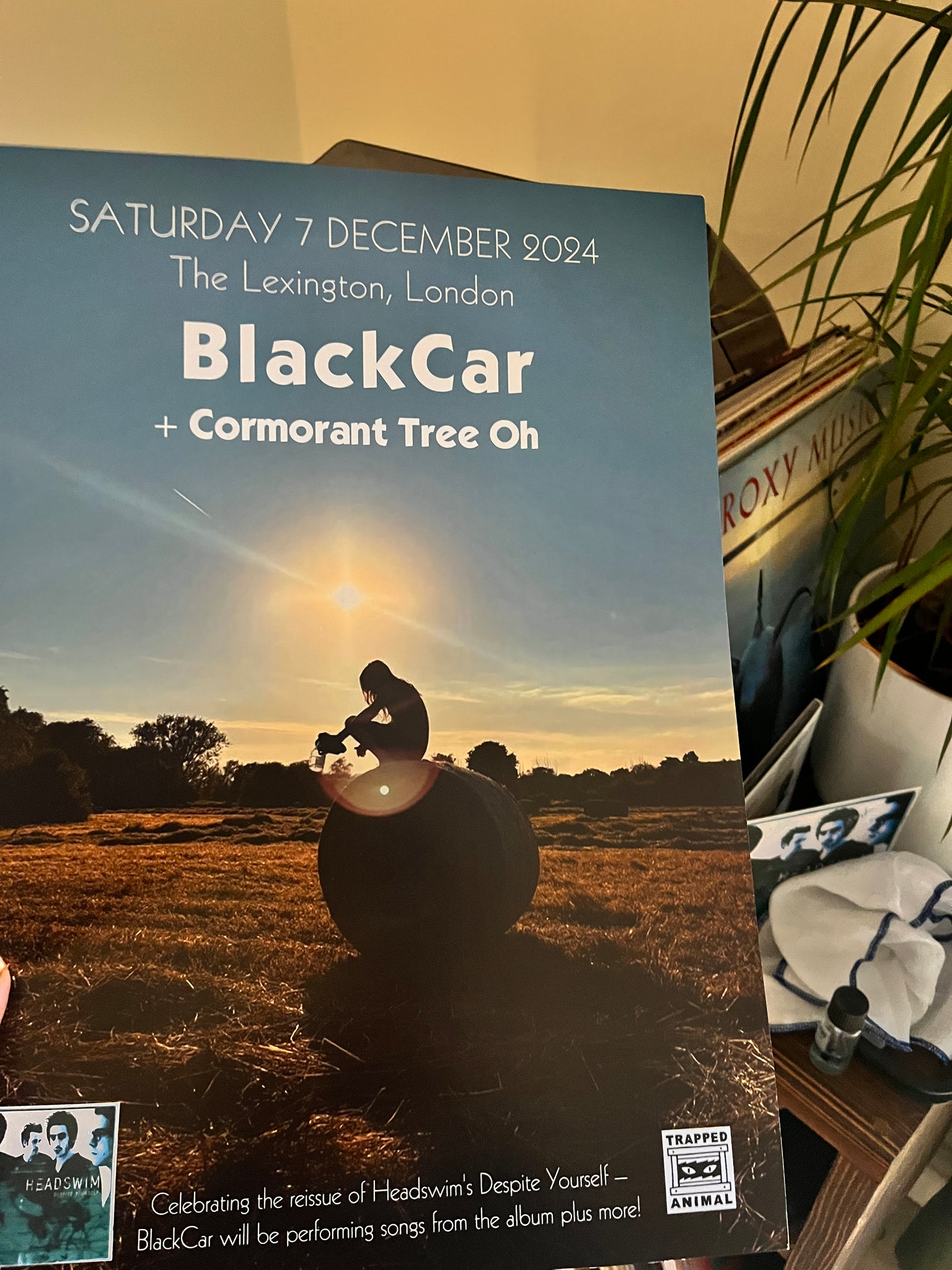 BlackCar Poster - 7 December